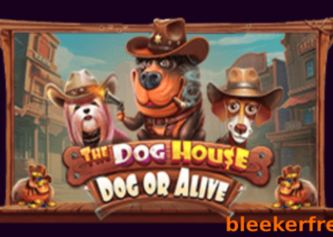 How to Win in “The Dog House – Dog or Alive” Slot Review by Pragmatic Play